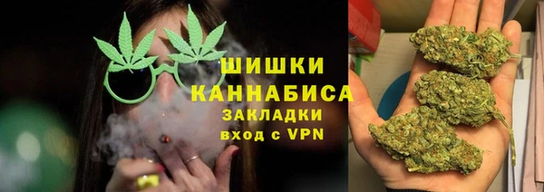 Альфа ПВП Аркадак