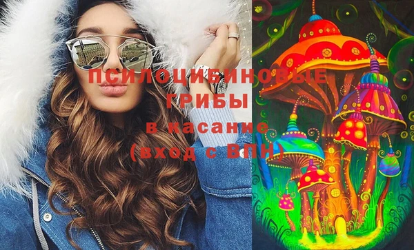 герыч Арсеньев