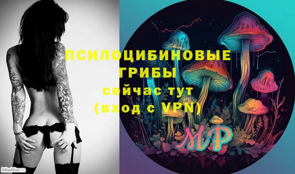 a pvp Армянск