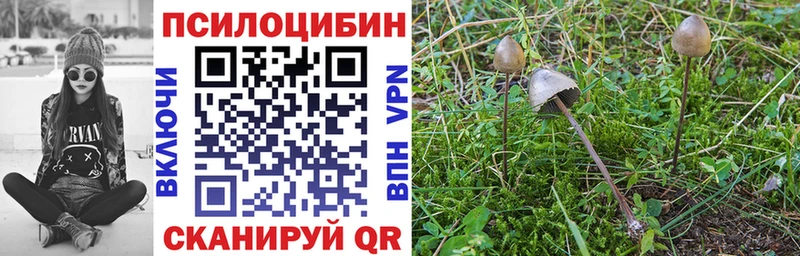 OMG   купить наркотик  Всеволожск  Псилоцибиновые грибы мухоморы 